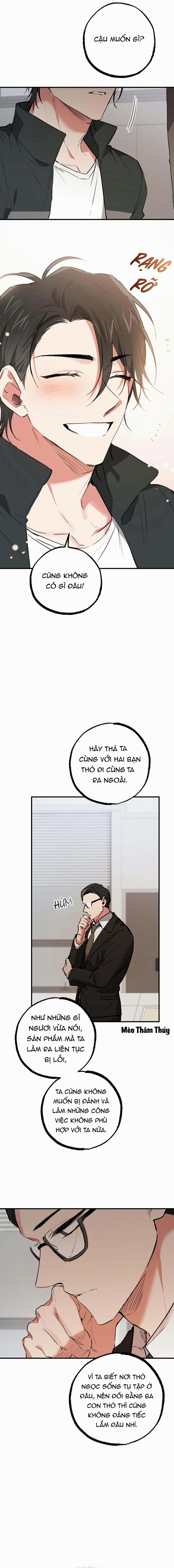 Những Chú Thỏ Của Habibi 47 trang 12