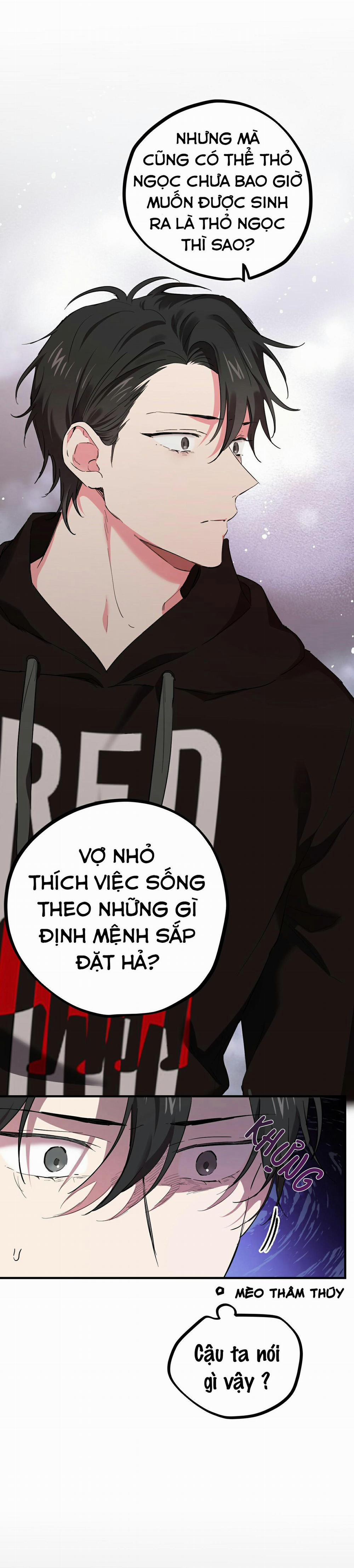 Những Chú Thỏ Của Habibi 5 trang 23