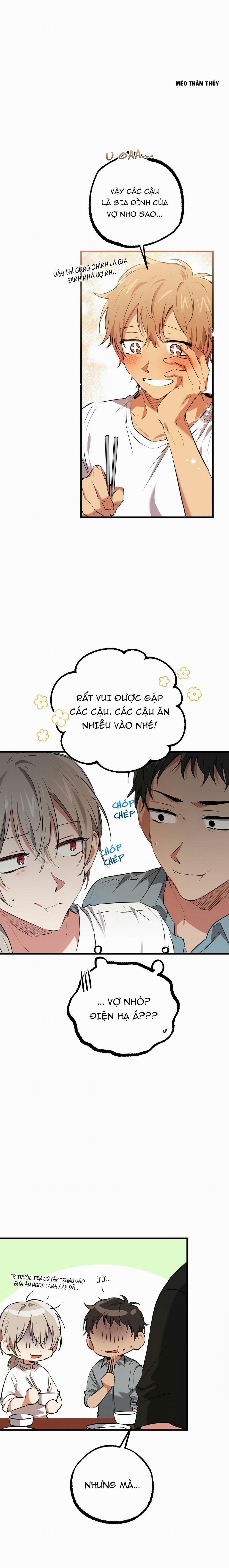 Những Chú Thỏ Của Habibi 51 trang 10