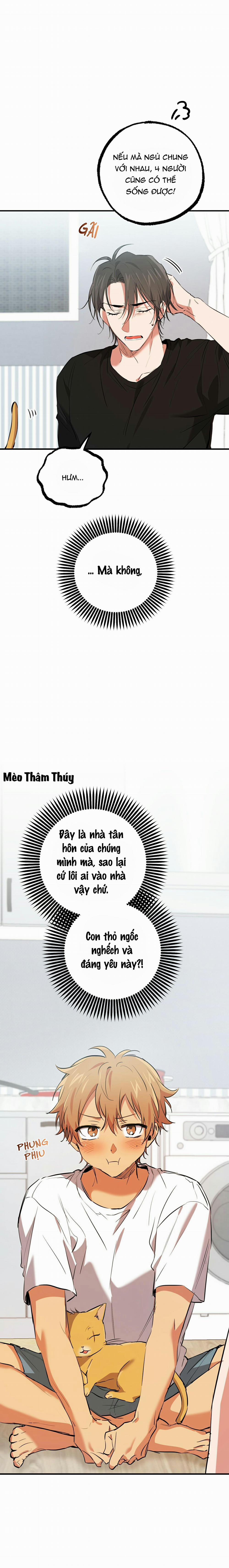 Những Chú Thỏ Của Habibi 51 trang 15