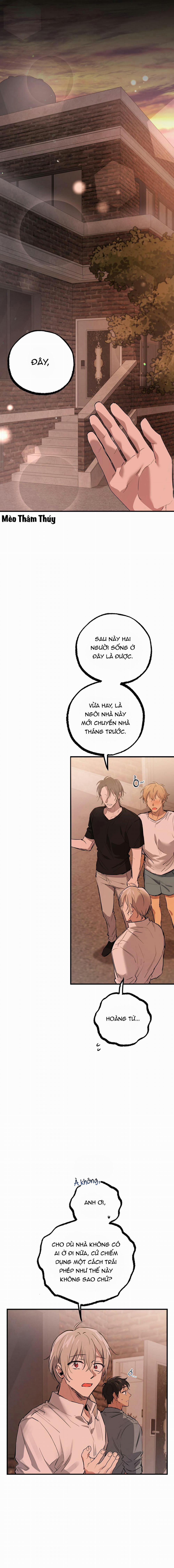 Những Chú Thỏ Của Habibi 51 trang 17