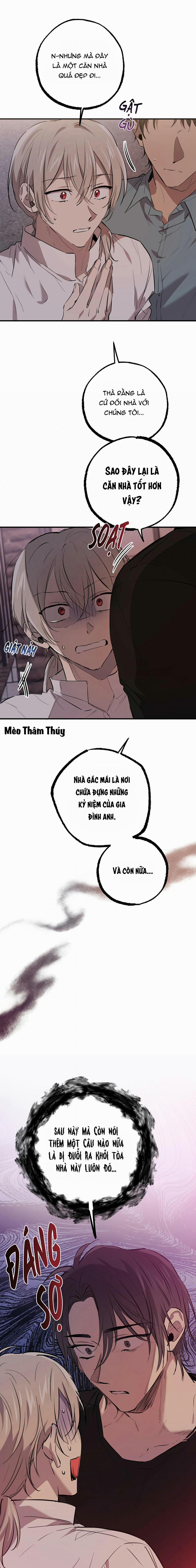 Những Chú Thỏ Của Habibi 51 trang 19