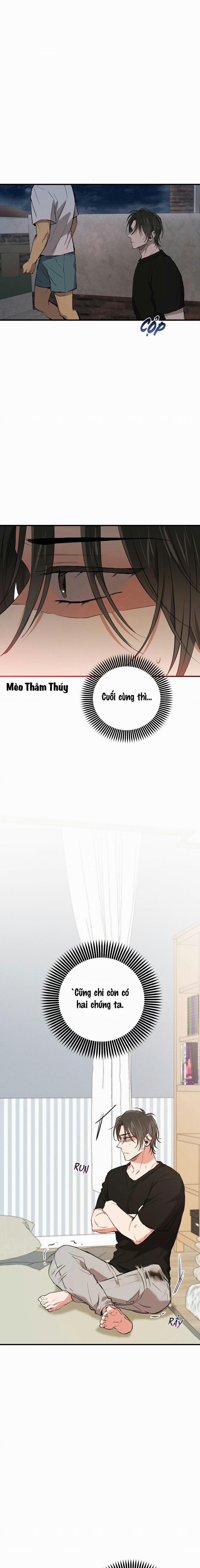 Những Chú Thỏ Của Habibi 51 trang 21