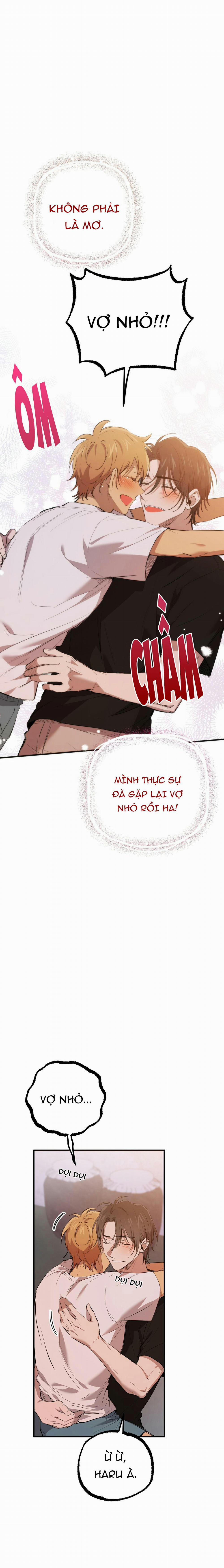 Những Chú Thỏ Của Habibi 51 trang 3