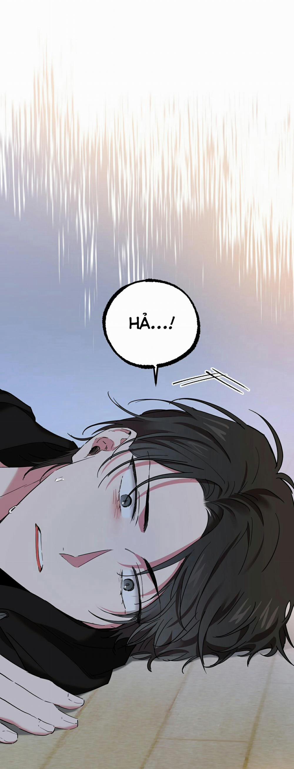 Những Chú Thỏ Của Habibi 6 trang 21