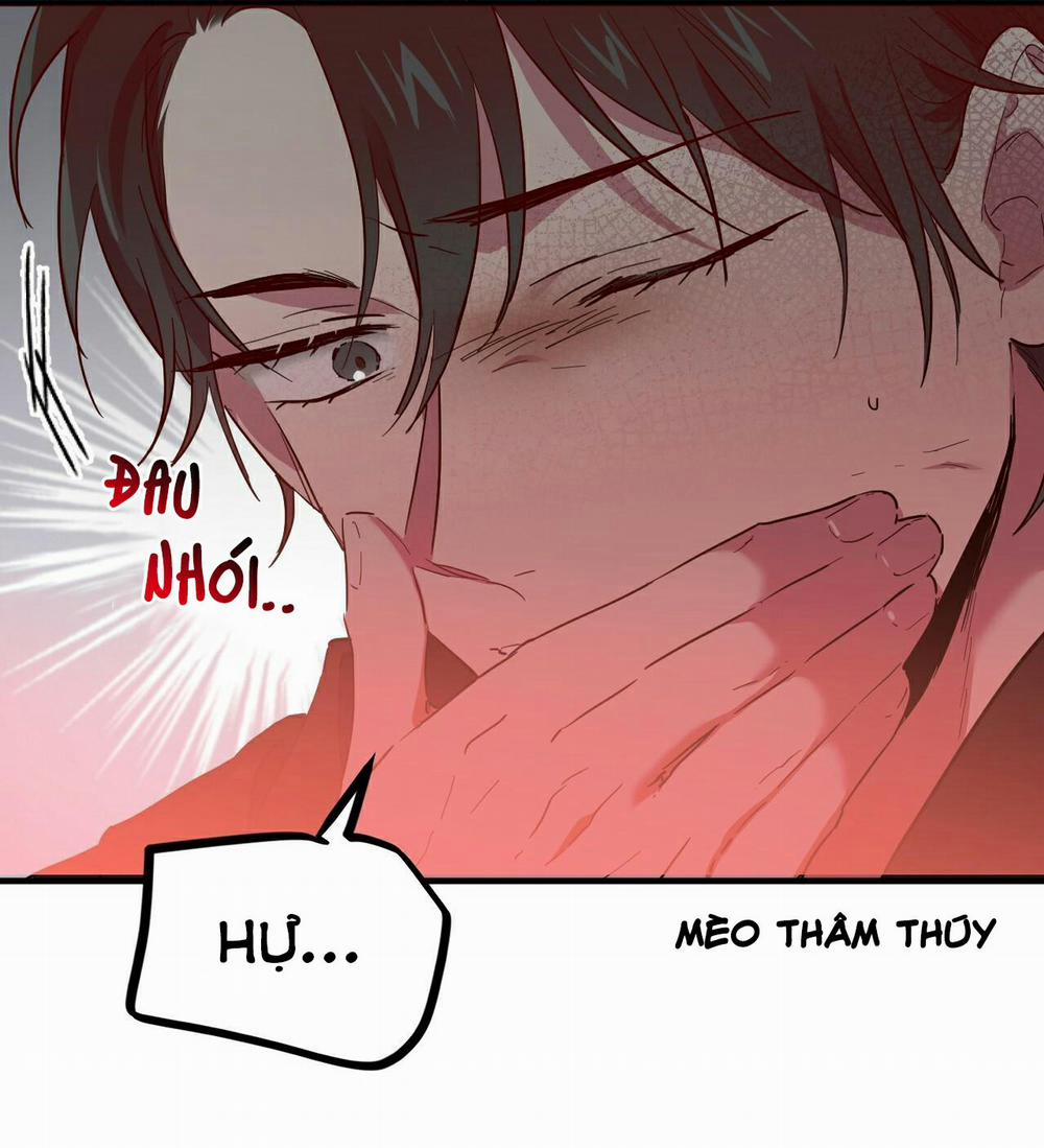 Những Chú Thỏ Của Habibi 6 trang 47
