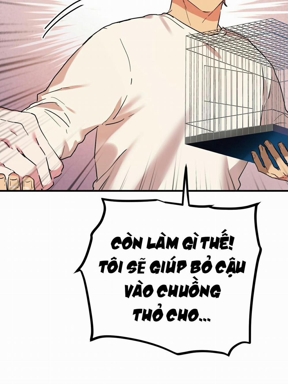Những Chú Thỏ Của Habibi 6 trang 68