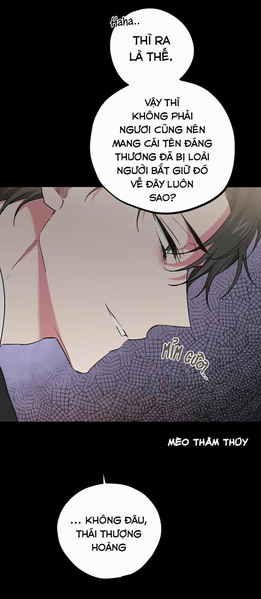 Những Chú Thỏ Của Habibi 6 trang 8