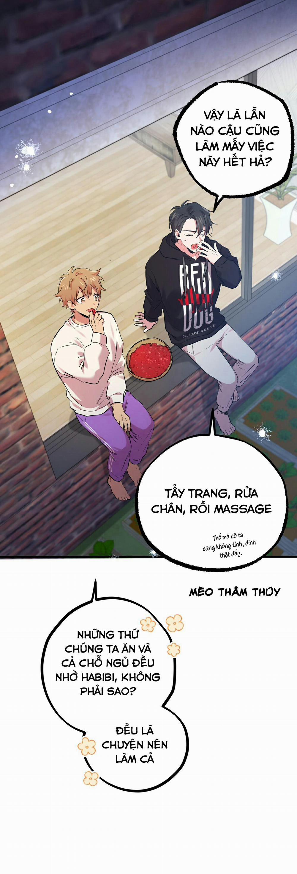 Những Chú Thỏ Của Habibi 7 trang 19