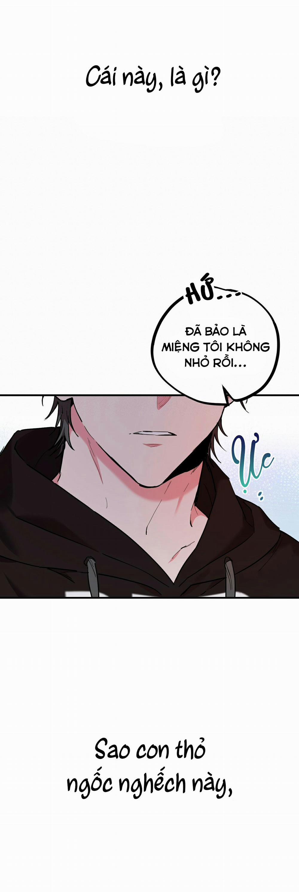 Những Chú Thỏ Của Habibi 7 trang 46