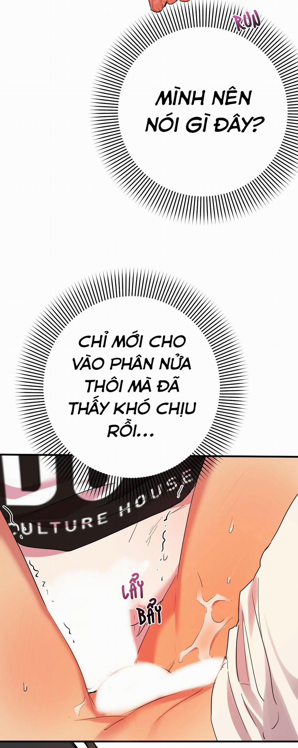Những Chú Thỏ Của Habibi 9 trang 24