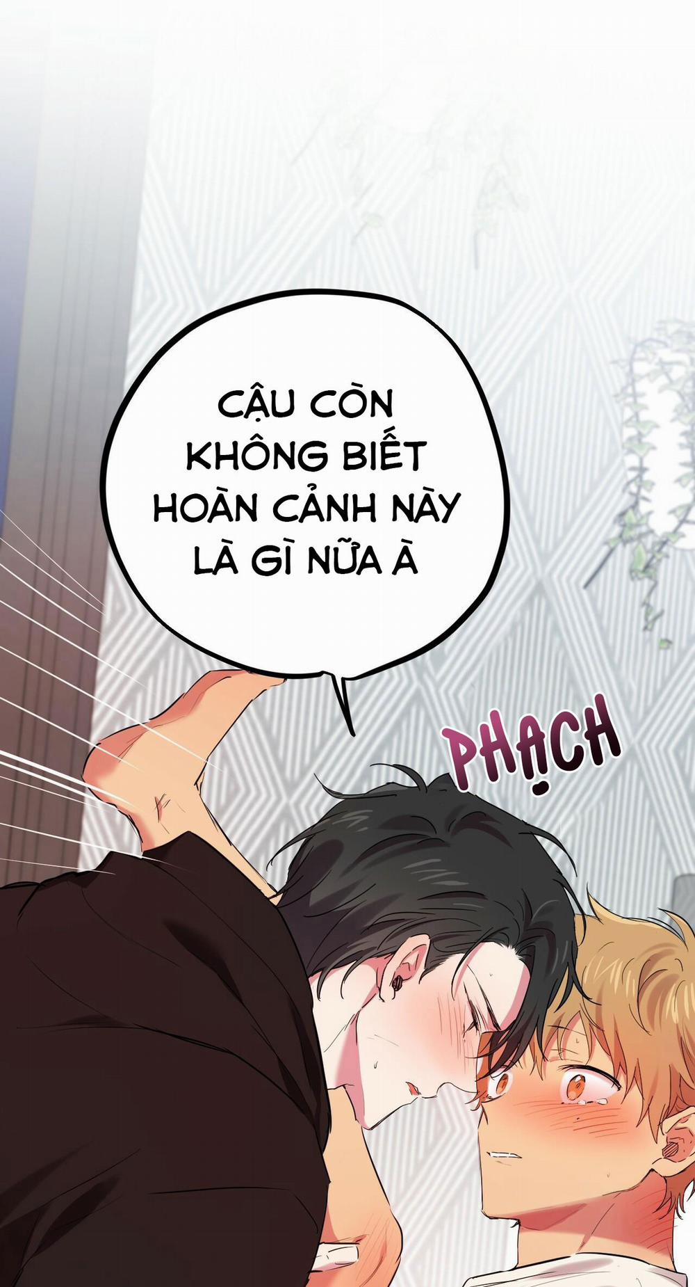 Những Chú Thỏ Của Habibi 9 trang 26