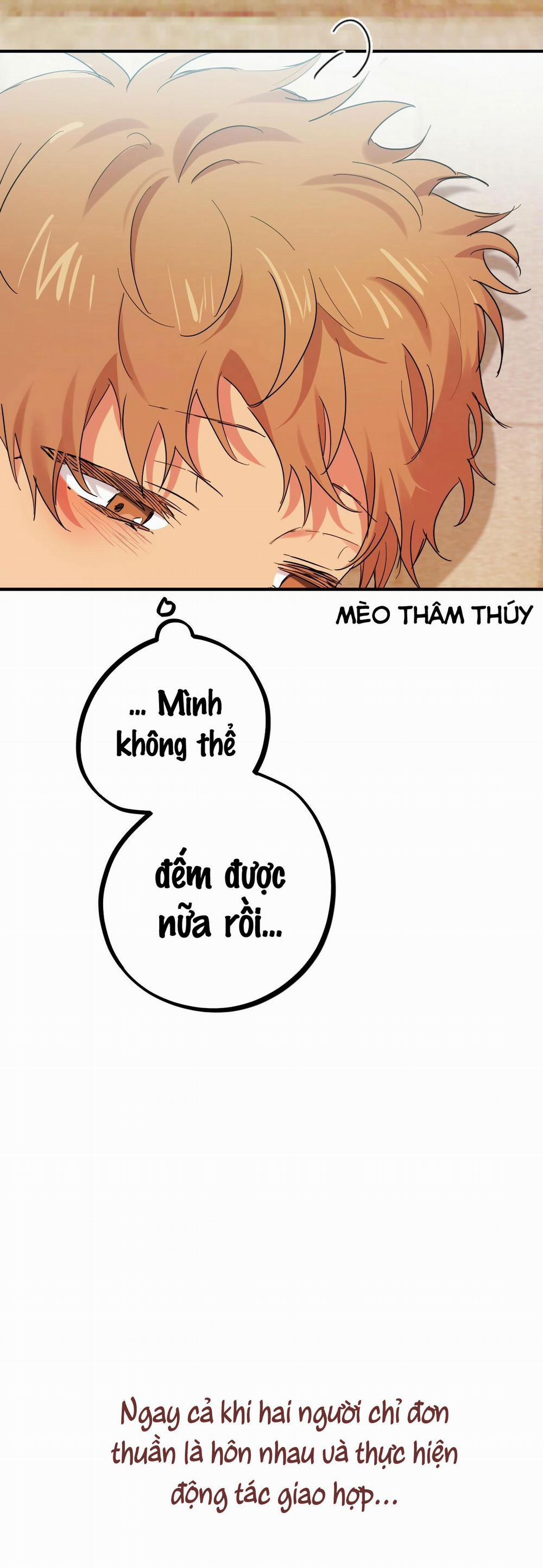Những Chú Thỏ Của Habibi 9 trang 41