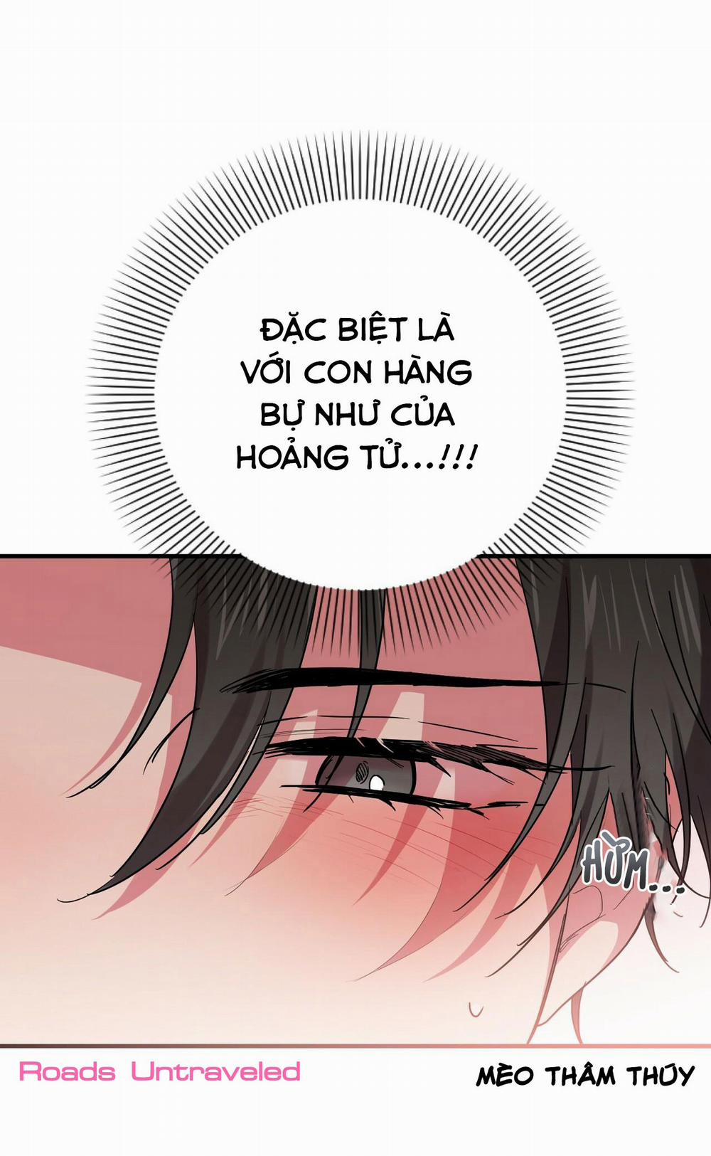 Những Chú Thỏ Của Habibi 9 trang 5