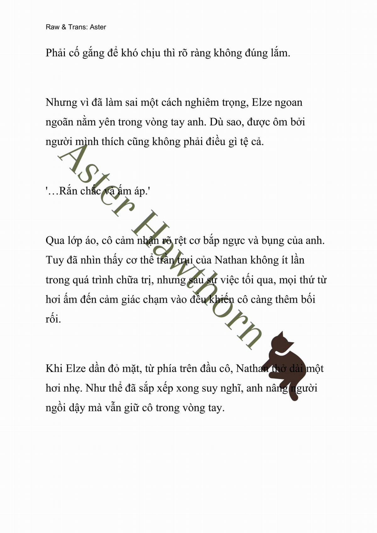 [Novel] Anh Hùng Khao Khát Sự Sa Ngã Của Thánh Nữ 13 trang 13
