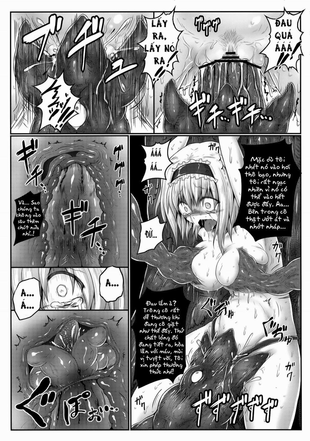 Nozomiusu (Touhou) Oneshot trang 17