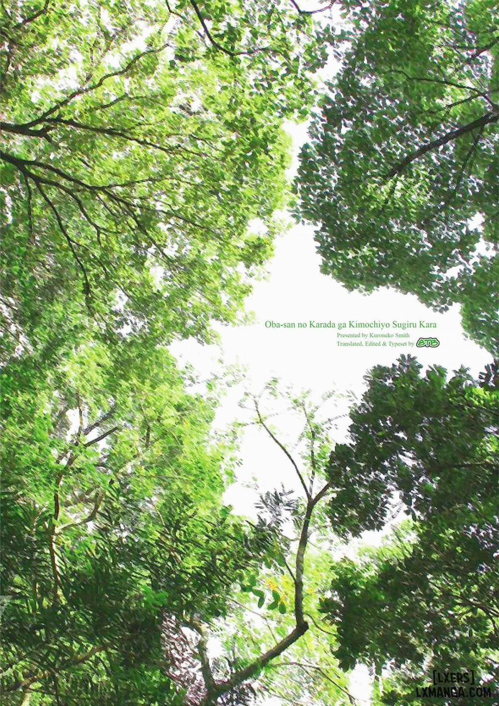 Oba-san no Karada ga Kimochi Yosugiru kara 2 Oneshot trang 2