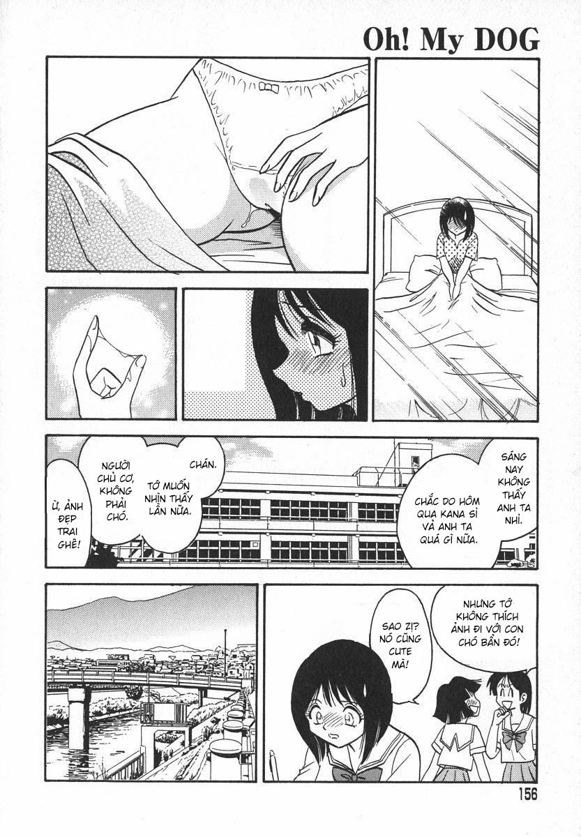 Oh! My DOG 8 trang 17