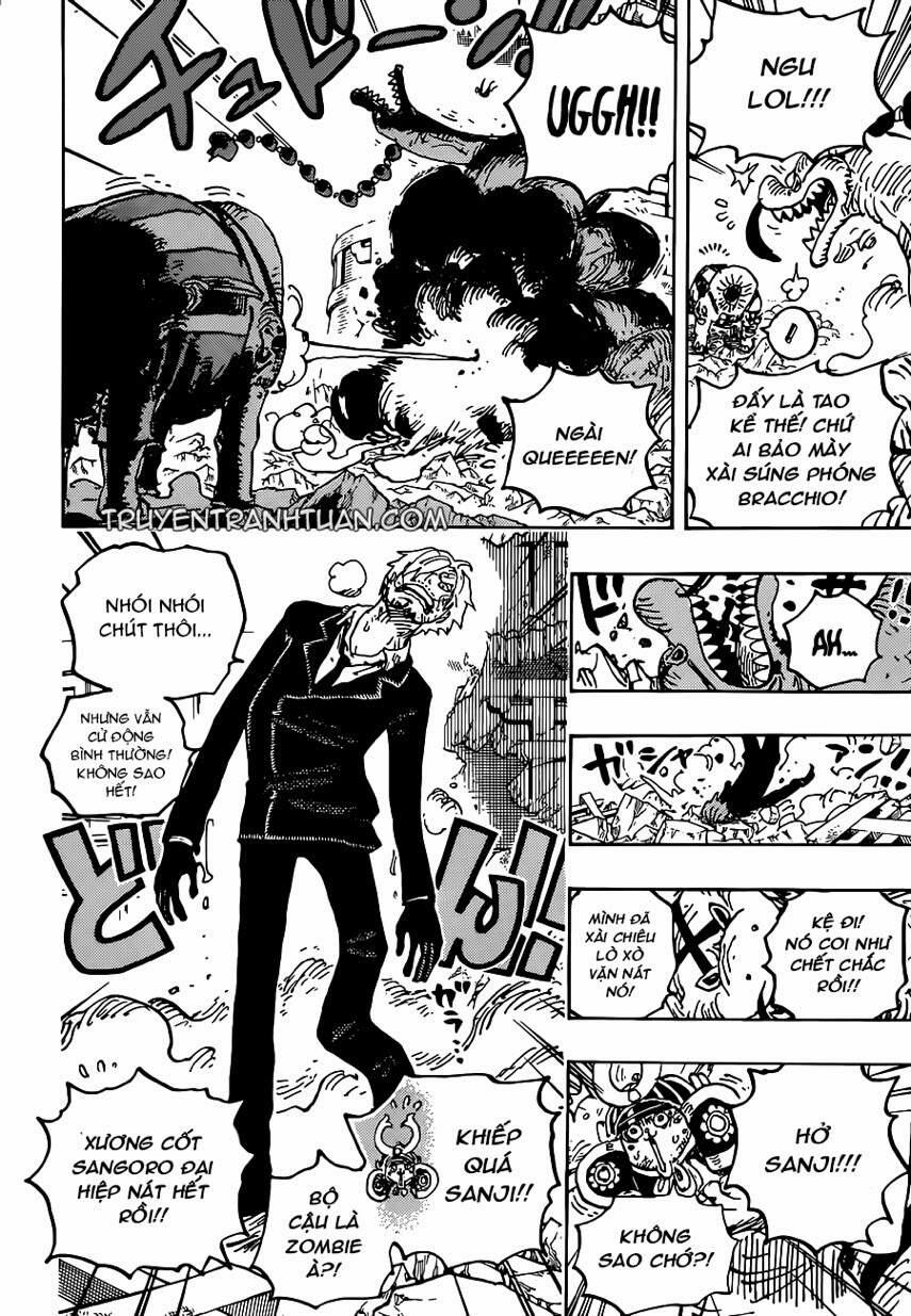 One Piece 1028 trang 14