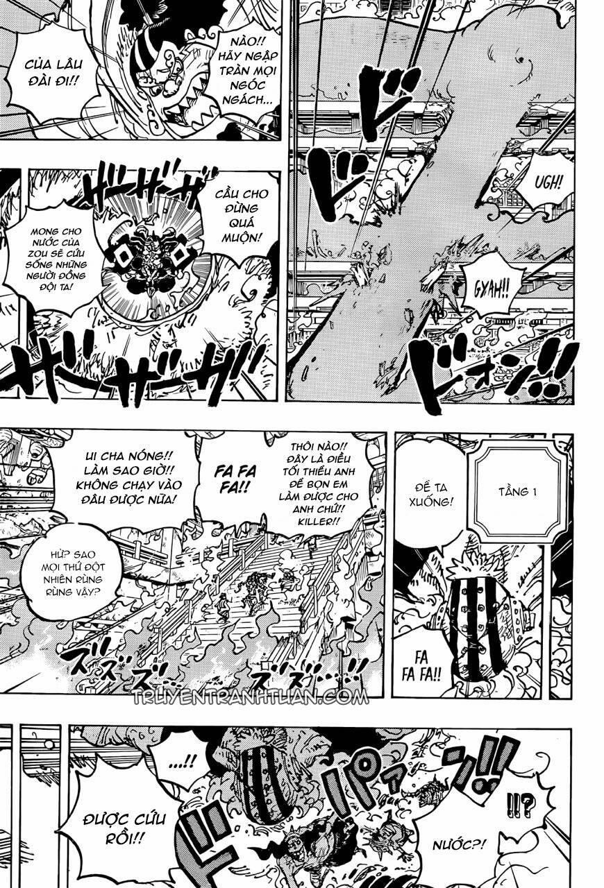 One Piece 1046 trang 11