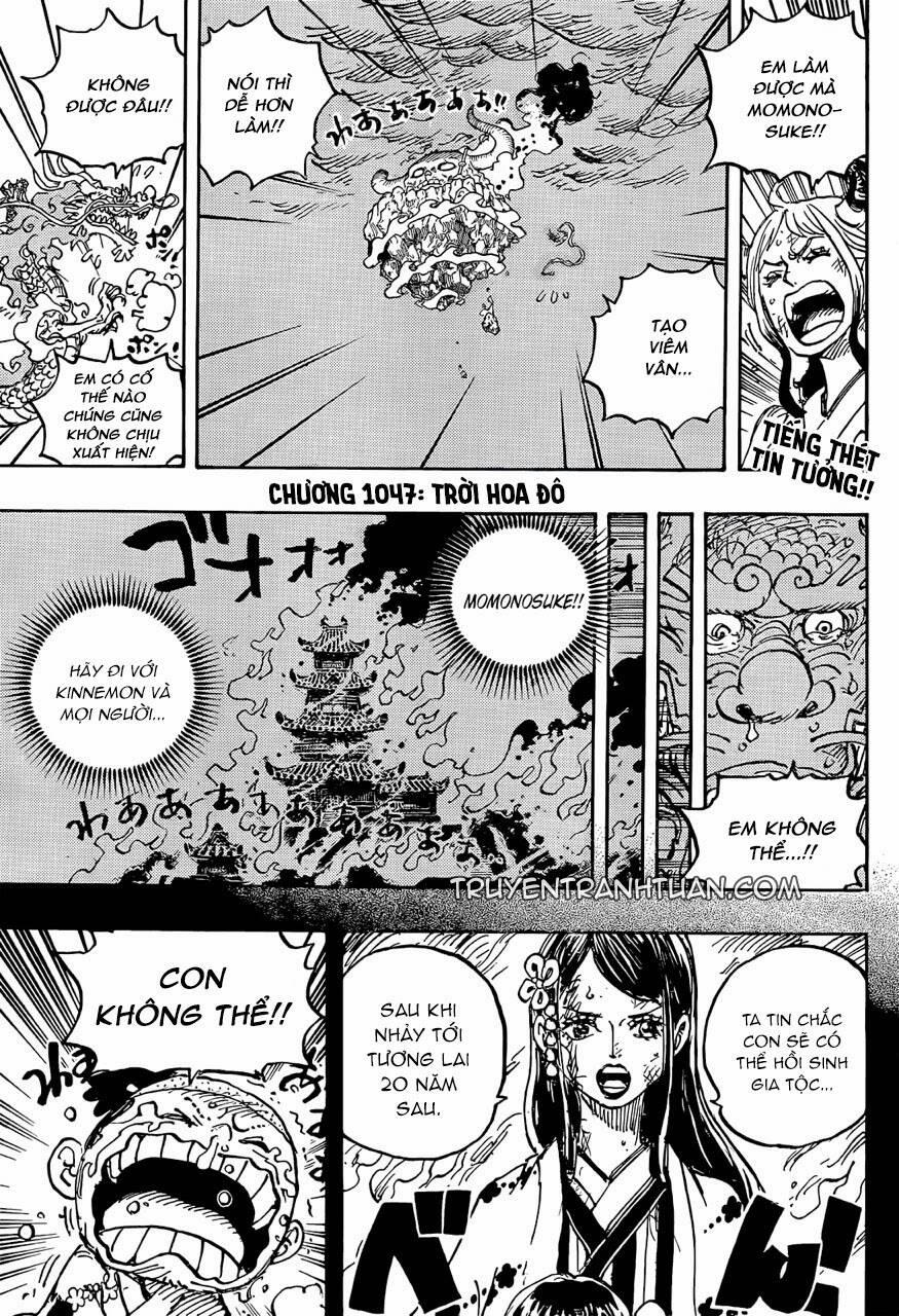 One Piece 1047 trang 1
