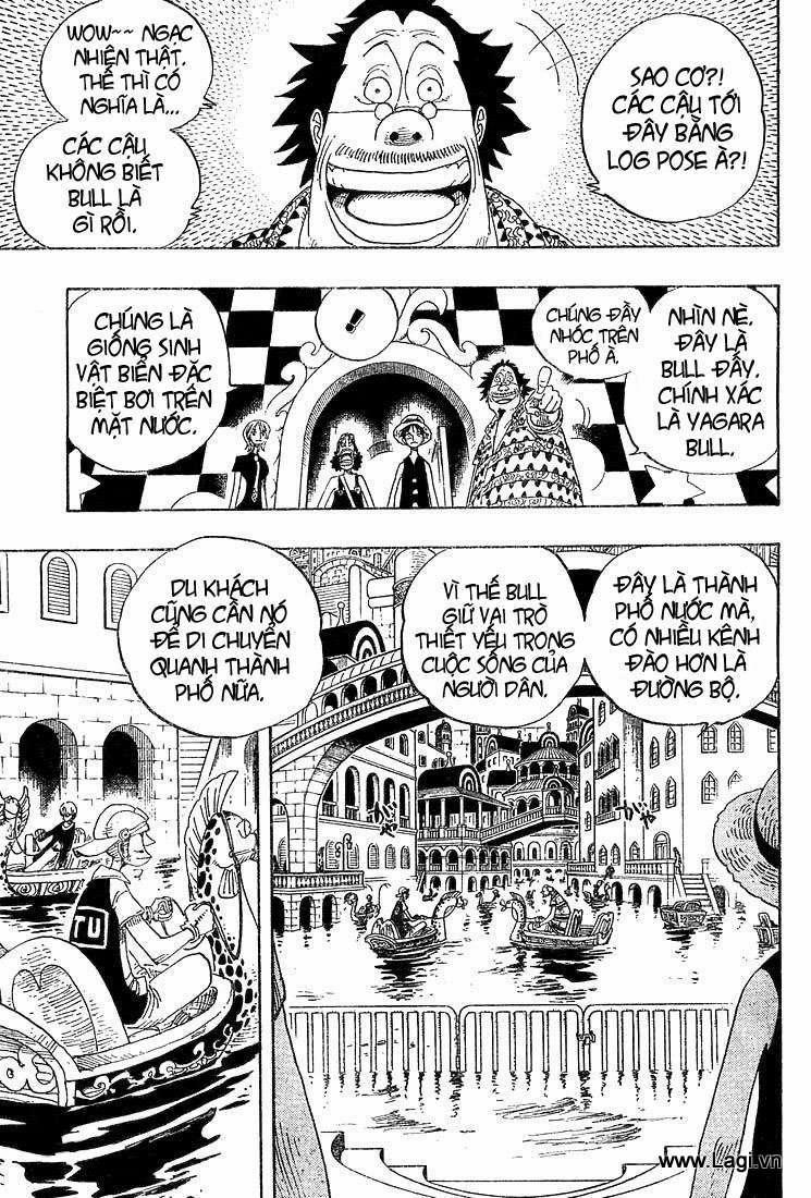 One Piece 324 trang 3