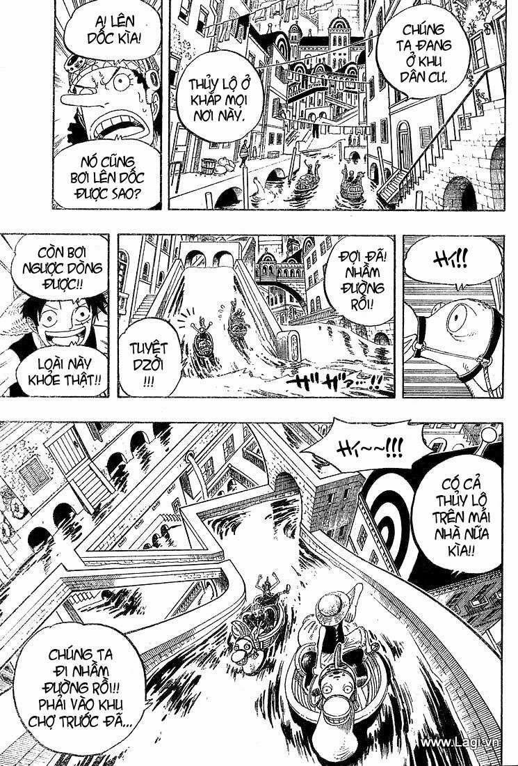 One Piece 324 trang 7