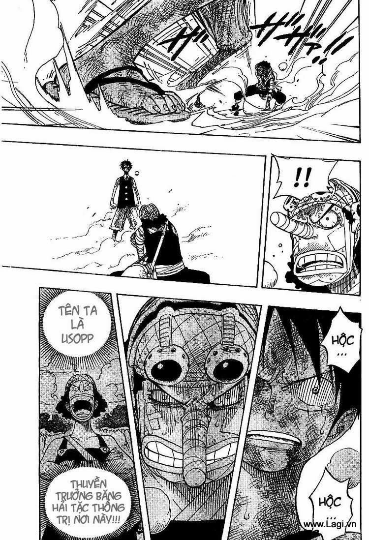 One Piece 333 trang 7