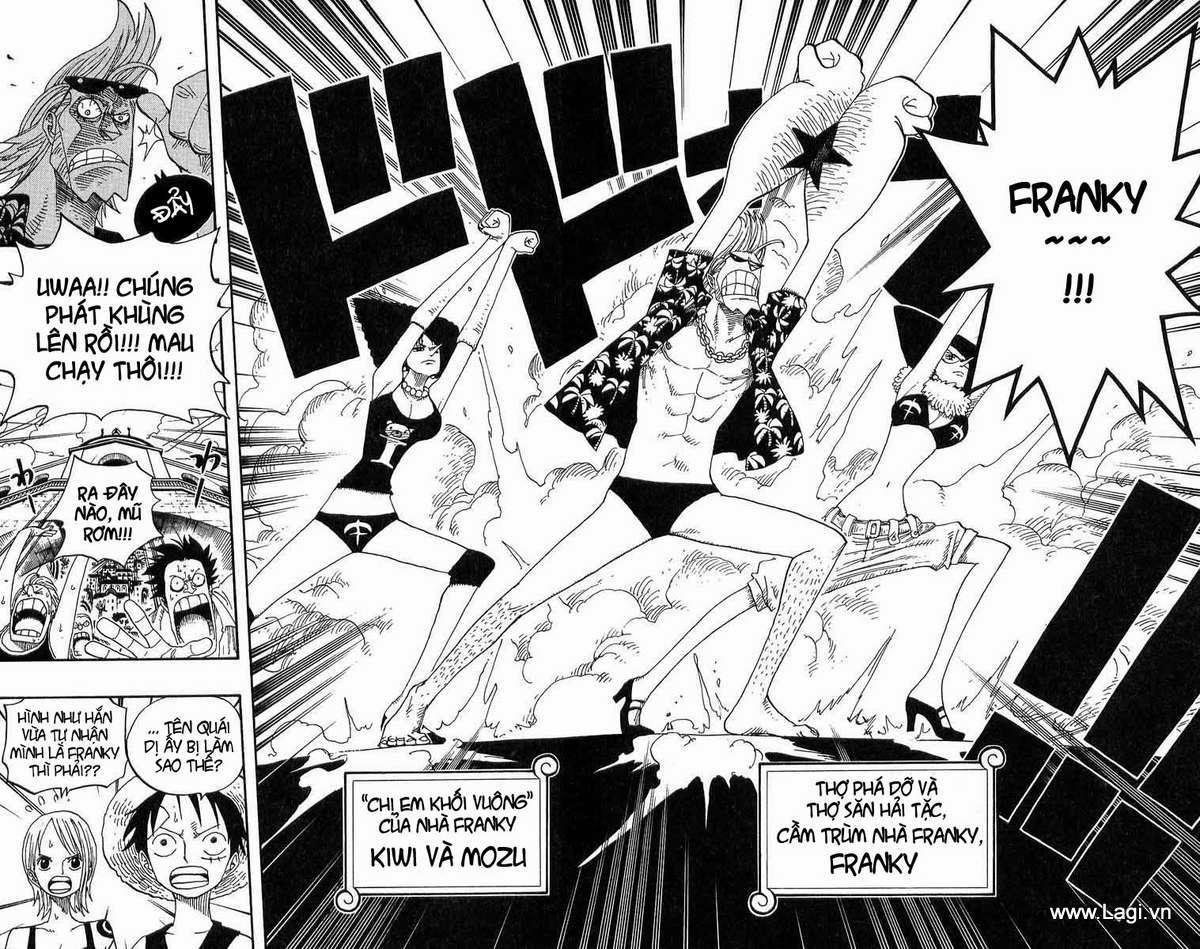 One Piece 335 trang 12