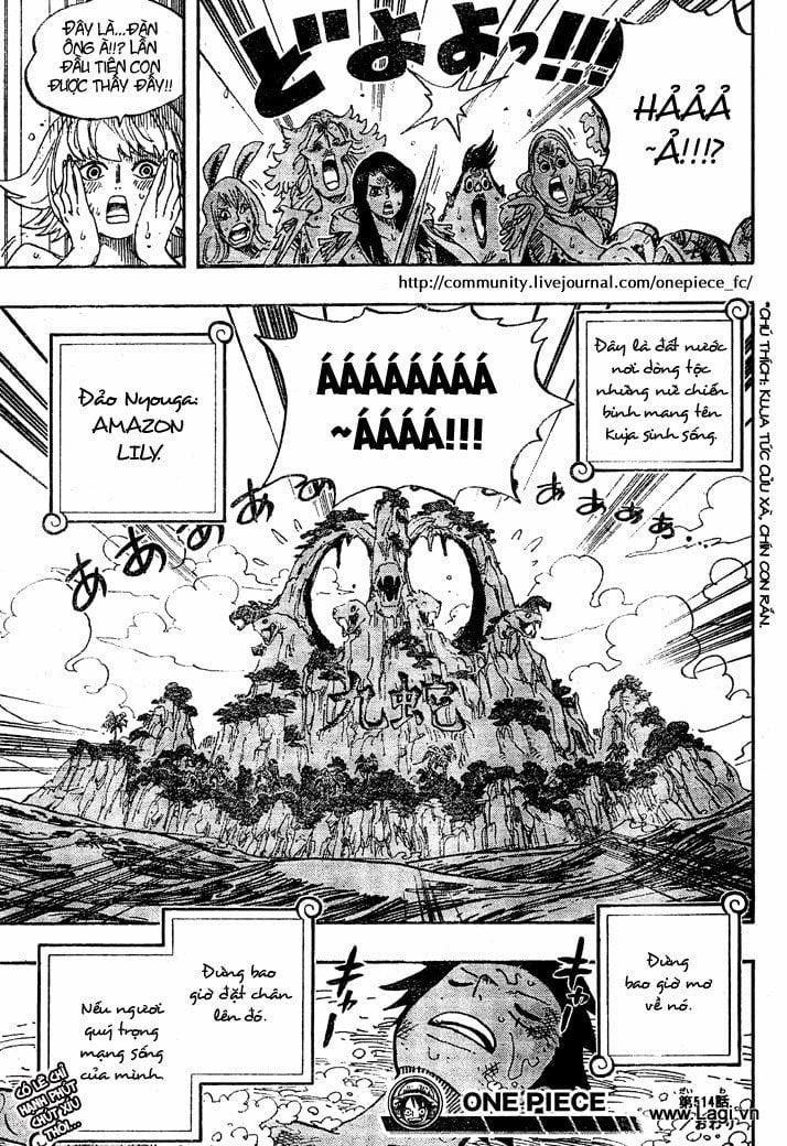 One Piece 514 trang 16