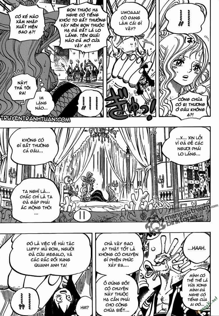 One Piece 613 trang 5