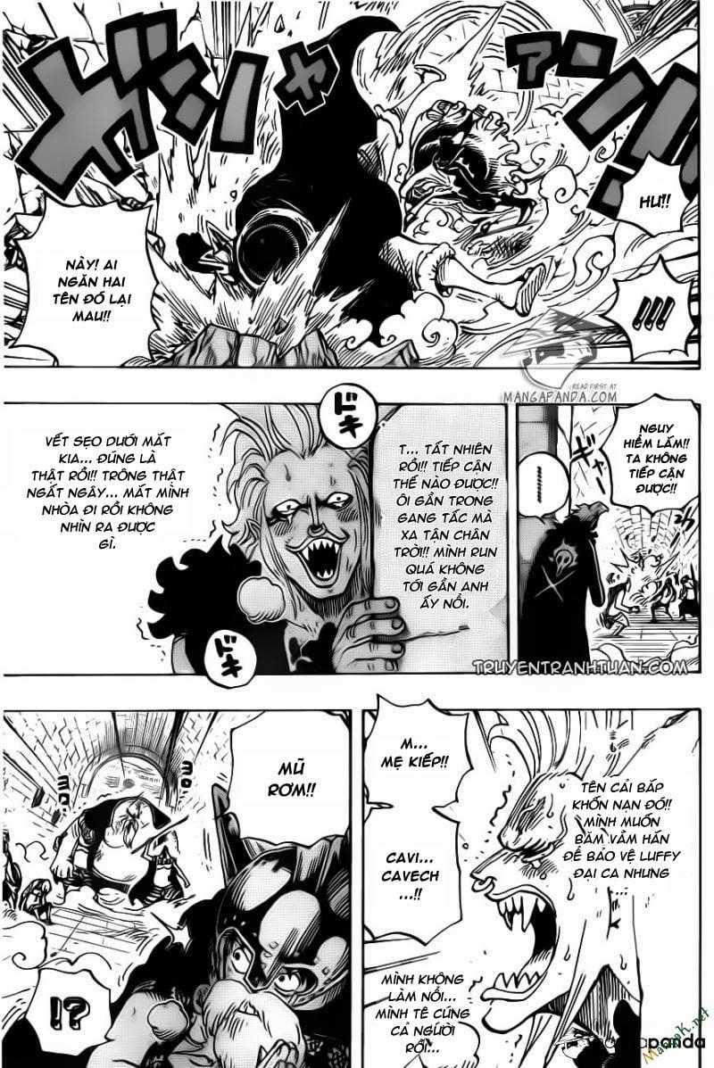 One Piece 720 trang 7