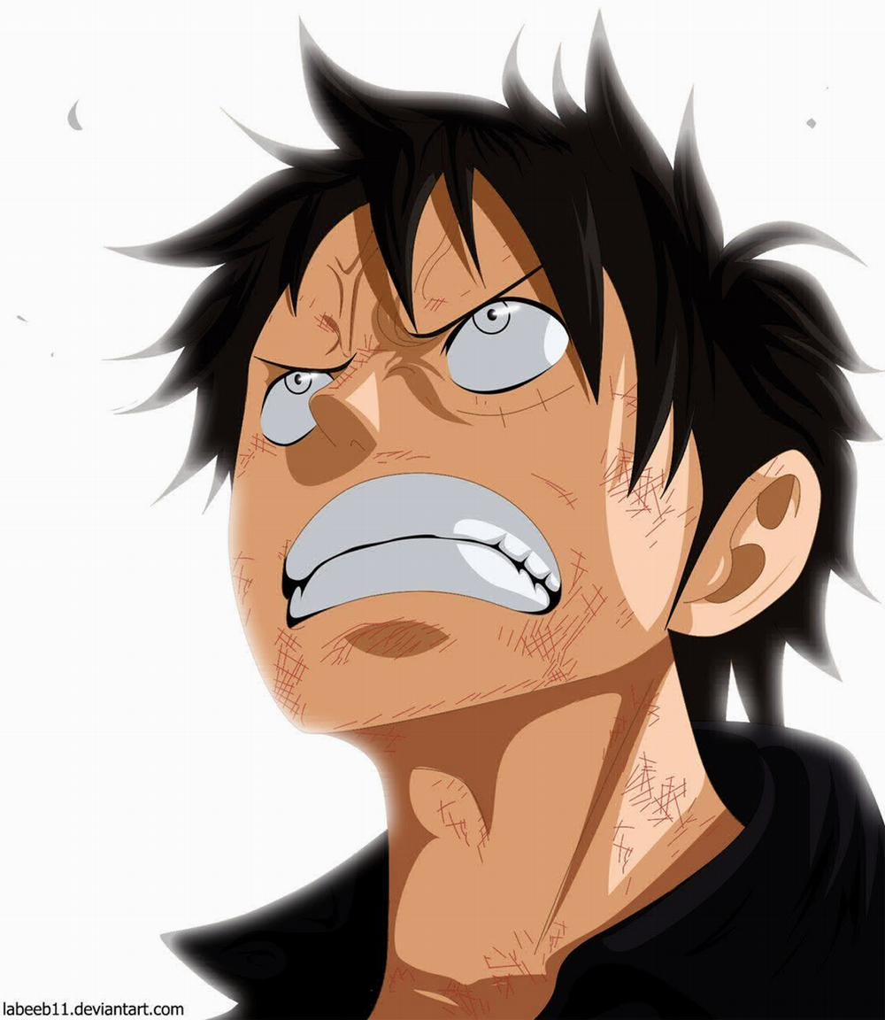 One Piece 780 trang 15