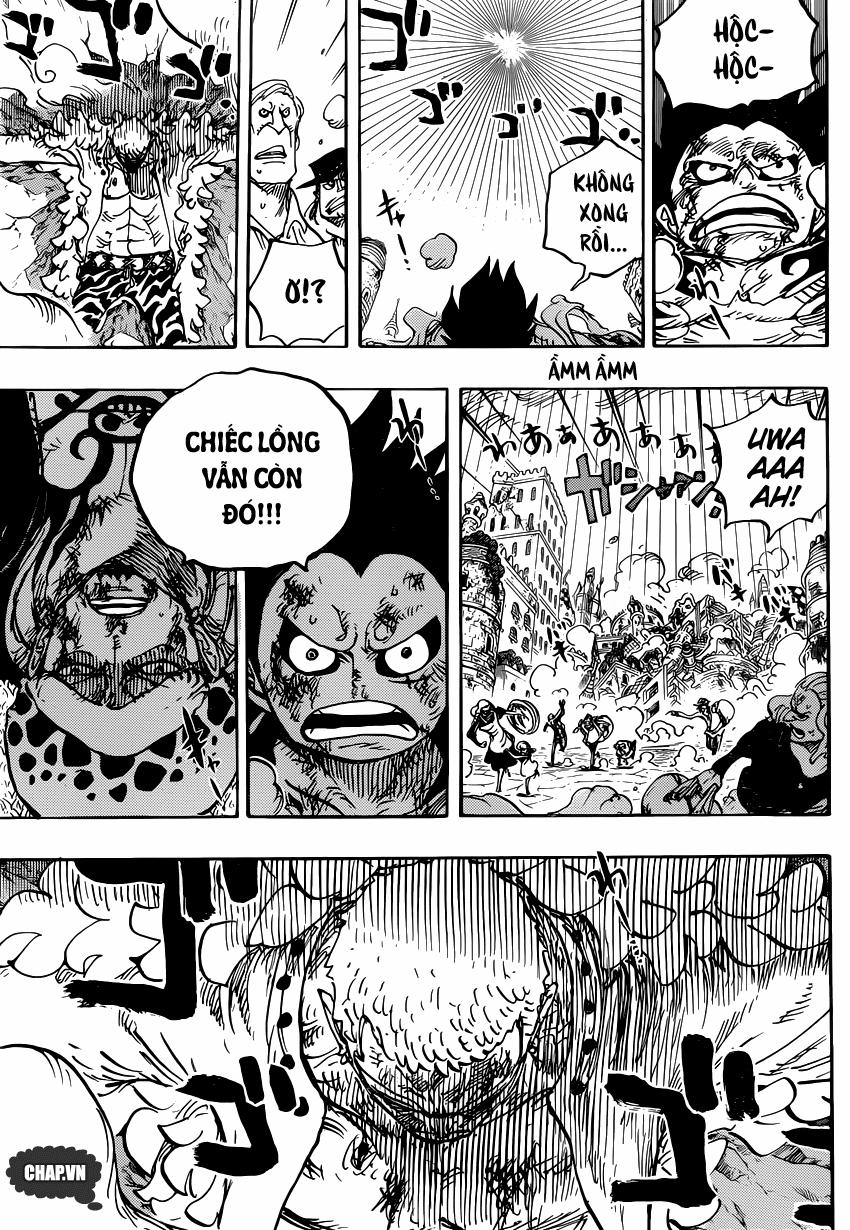 One Piece 786 trang 3