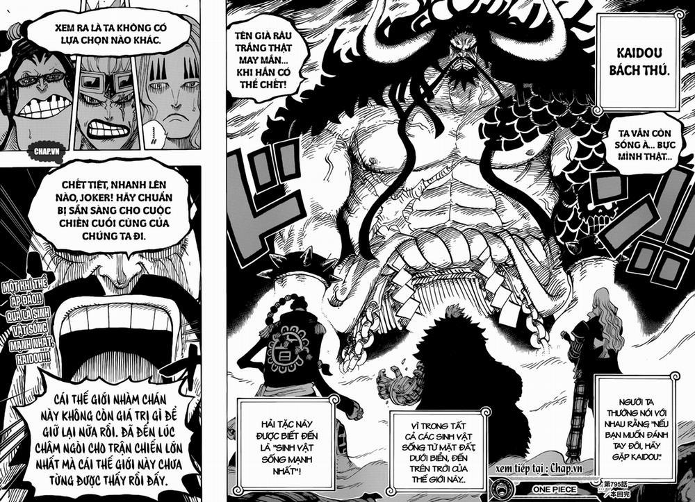 One Piece 795 trang 14