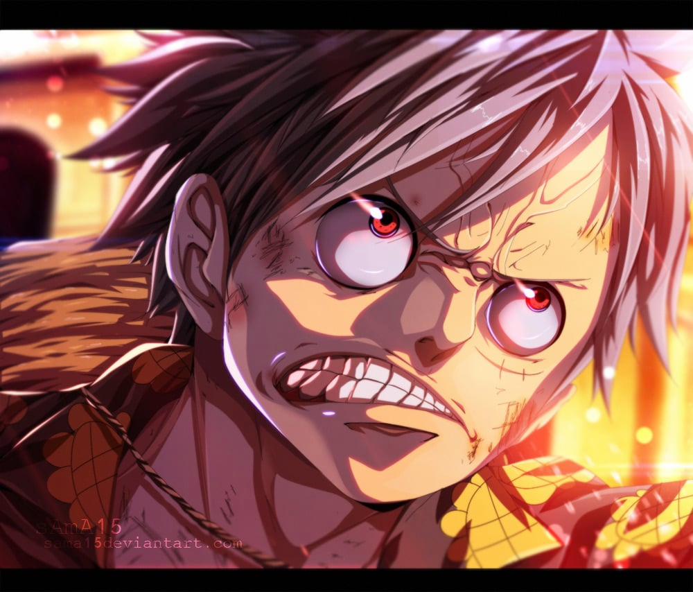 One Piece 795 trang 17