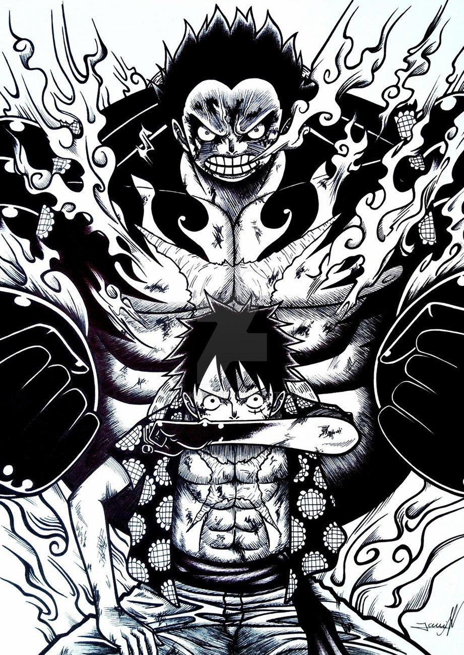 One Piece 800 trang 12