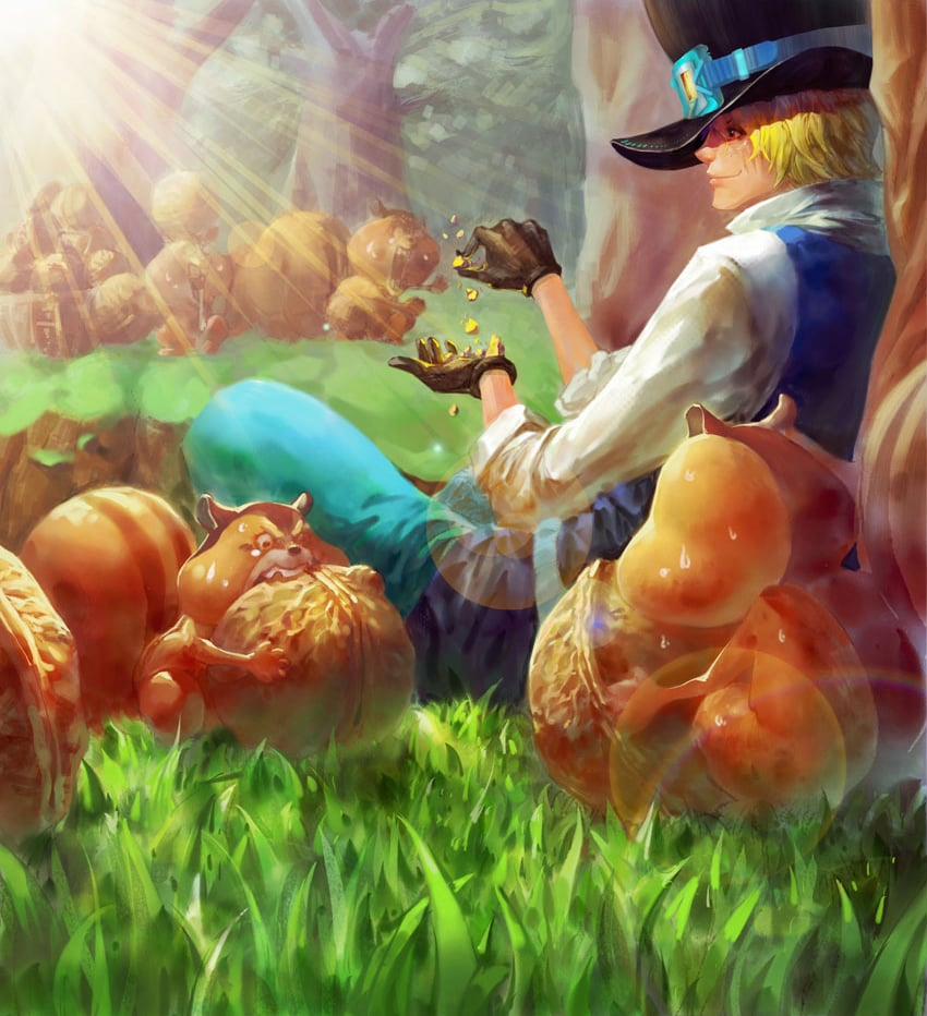One Piece 800 trang 14