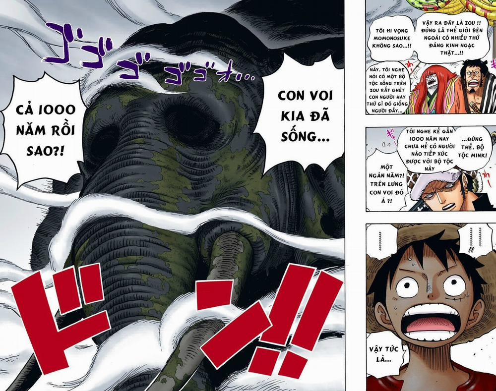 One Piece 802.1 Màu trang 12