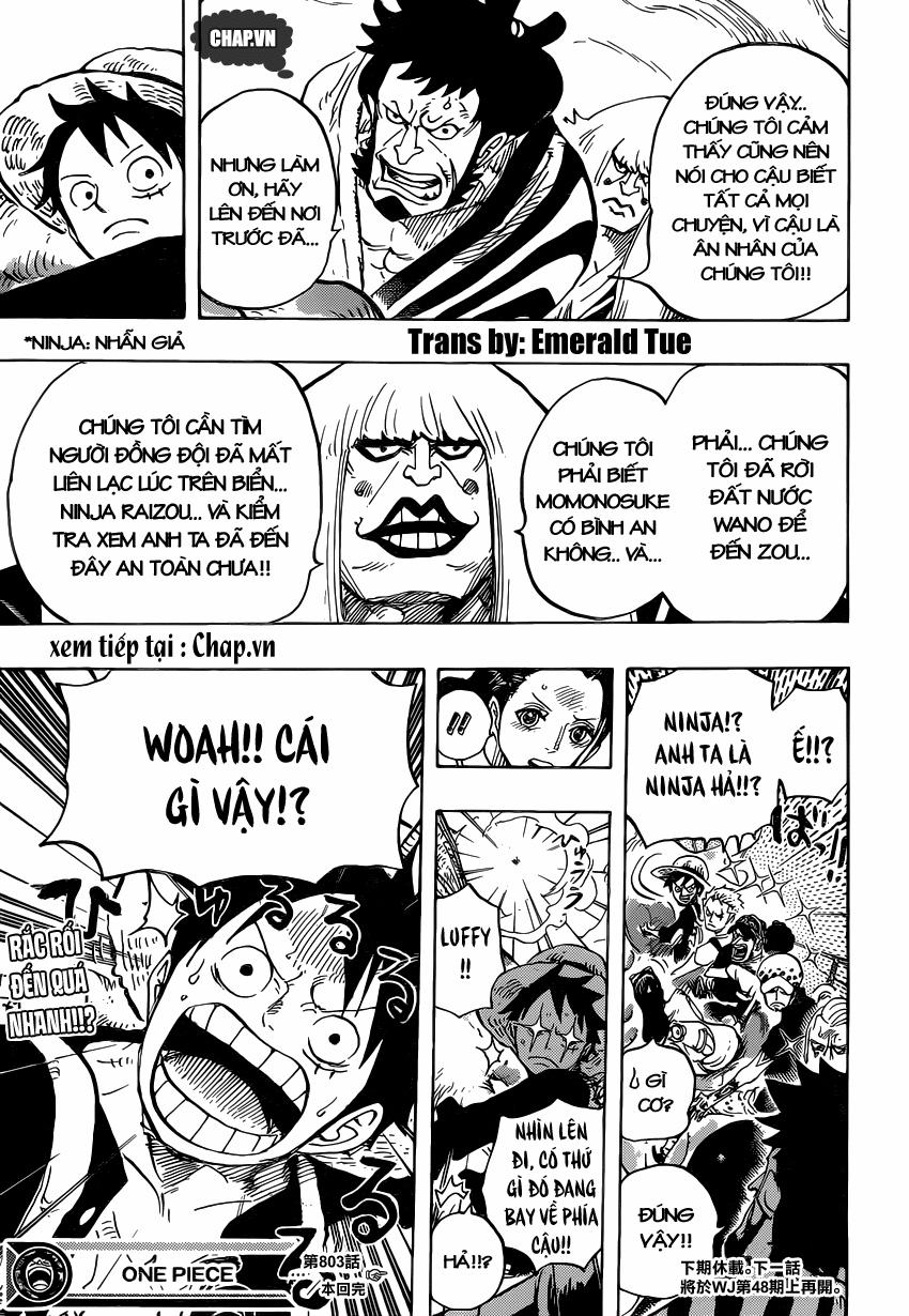 One Piece 803 trang 11