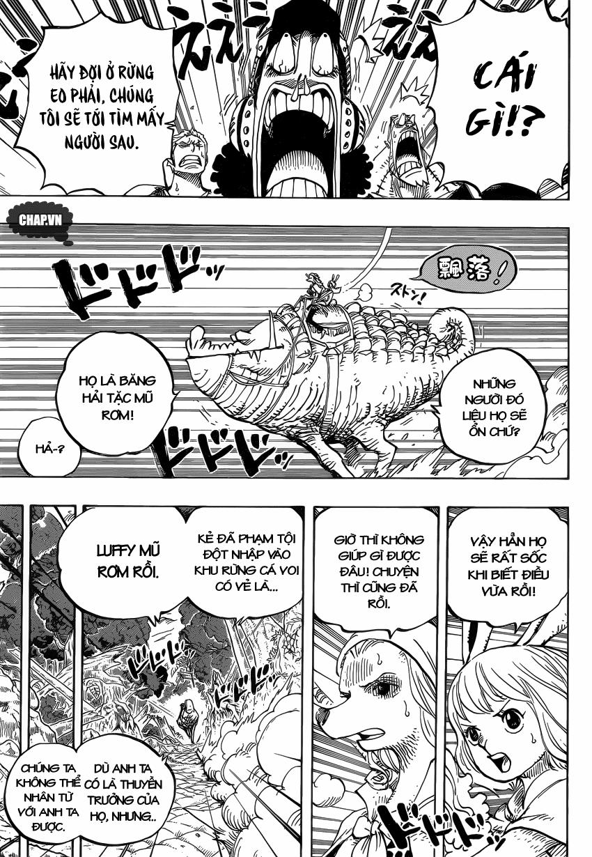 One Piece 805 trang 3