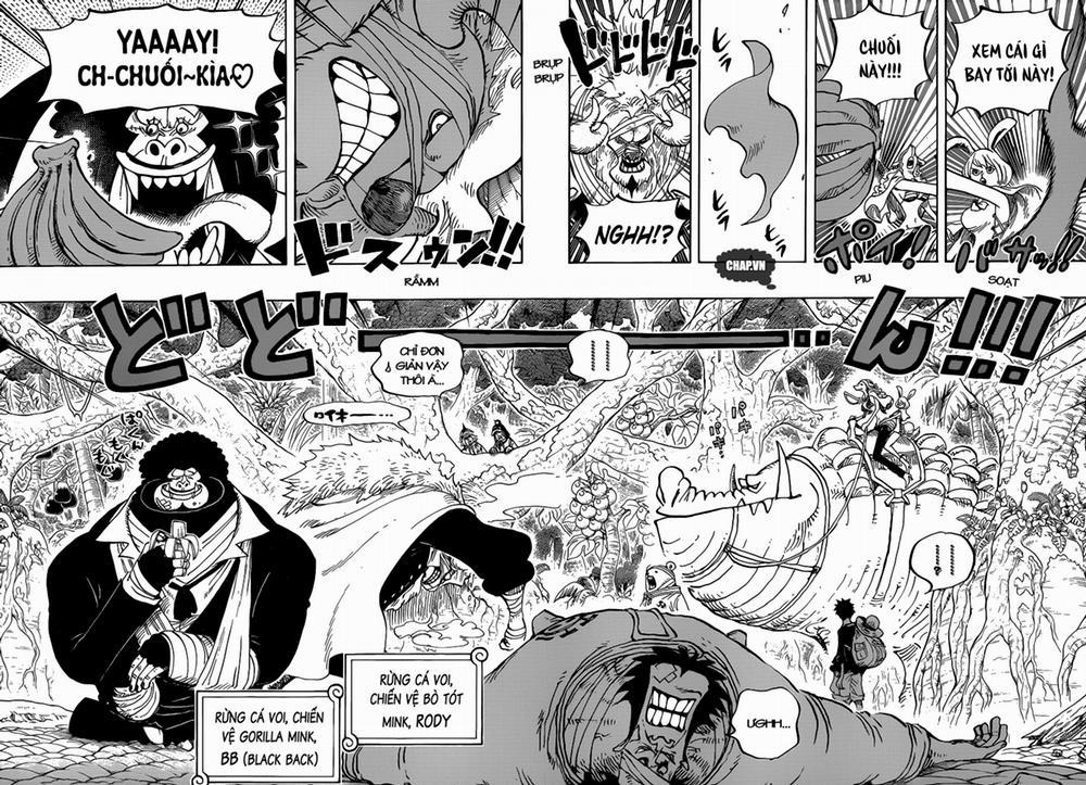 One Piece 805 trang 8