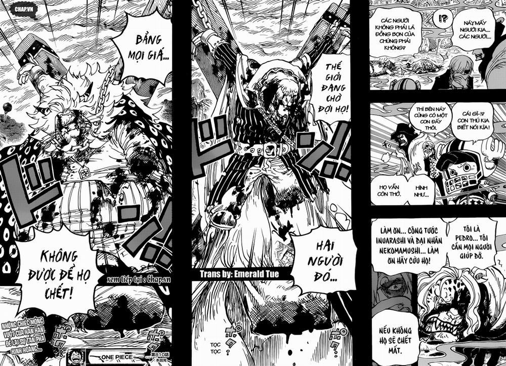 One Piece 810 trang 14