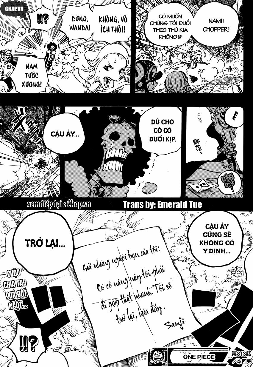 One Piece 813 trang 15