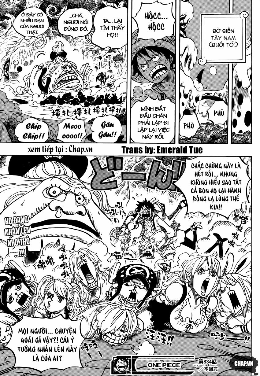 One Piece 834 trang 15