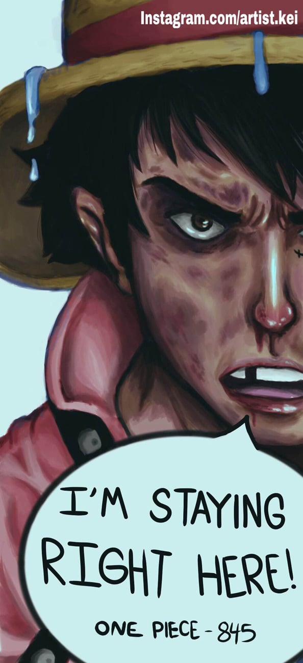 One Piece 846 trang 27