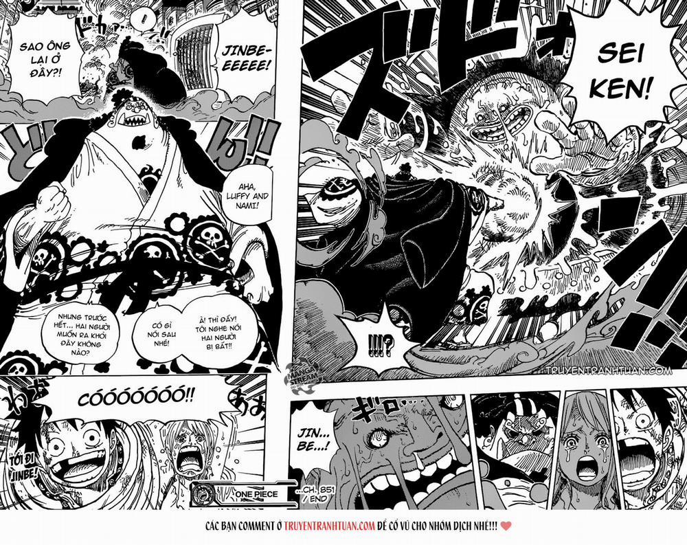 One Piece 851 trang 13