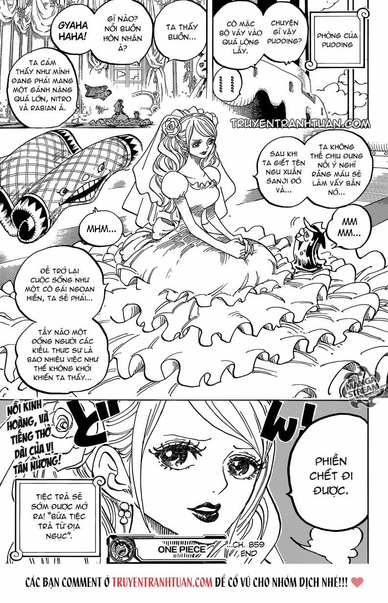 One Piece 859 trang 14