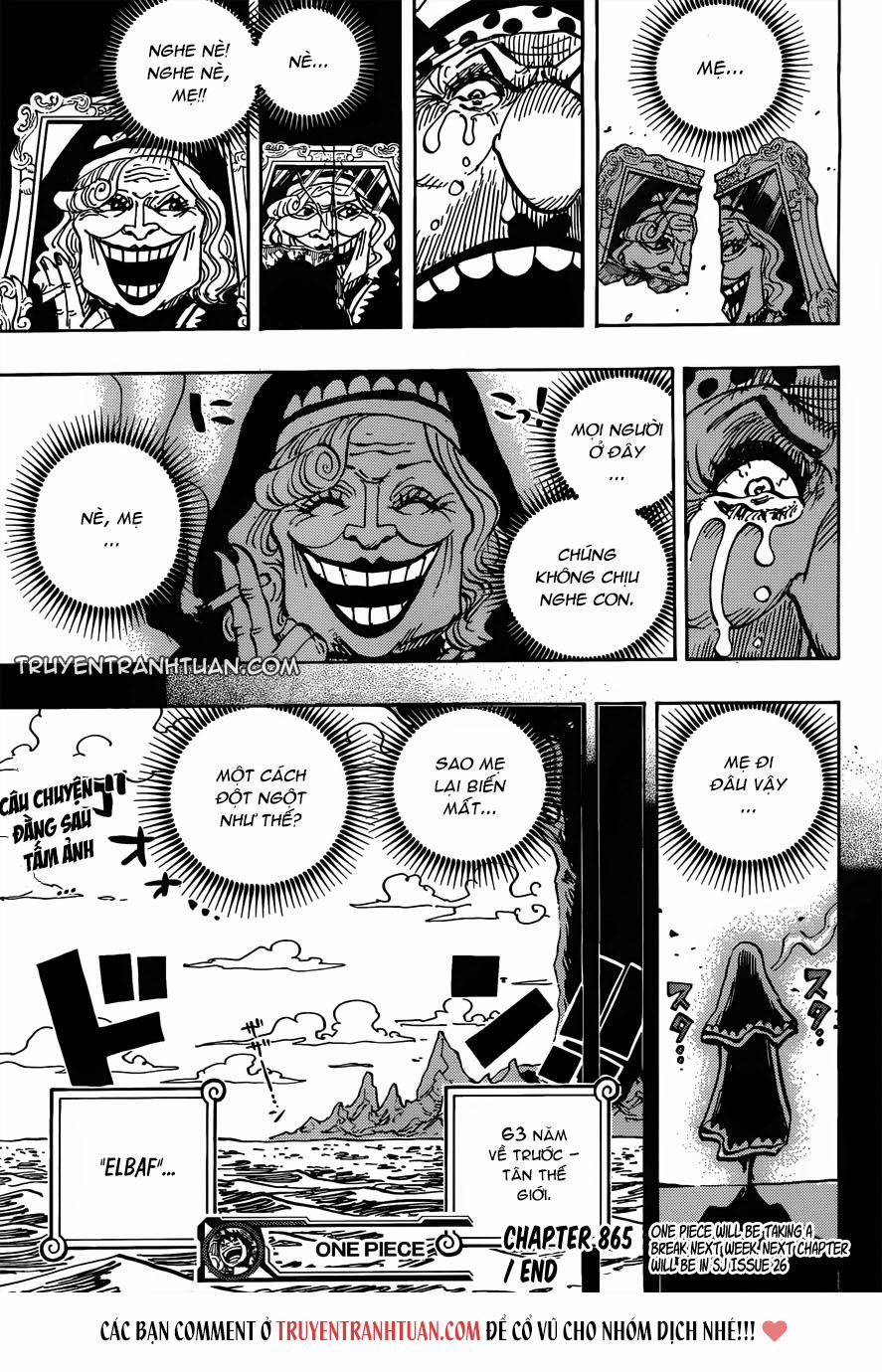 One Piece 865 trang 14