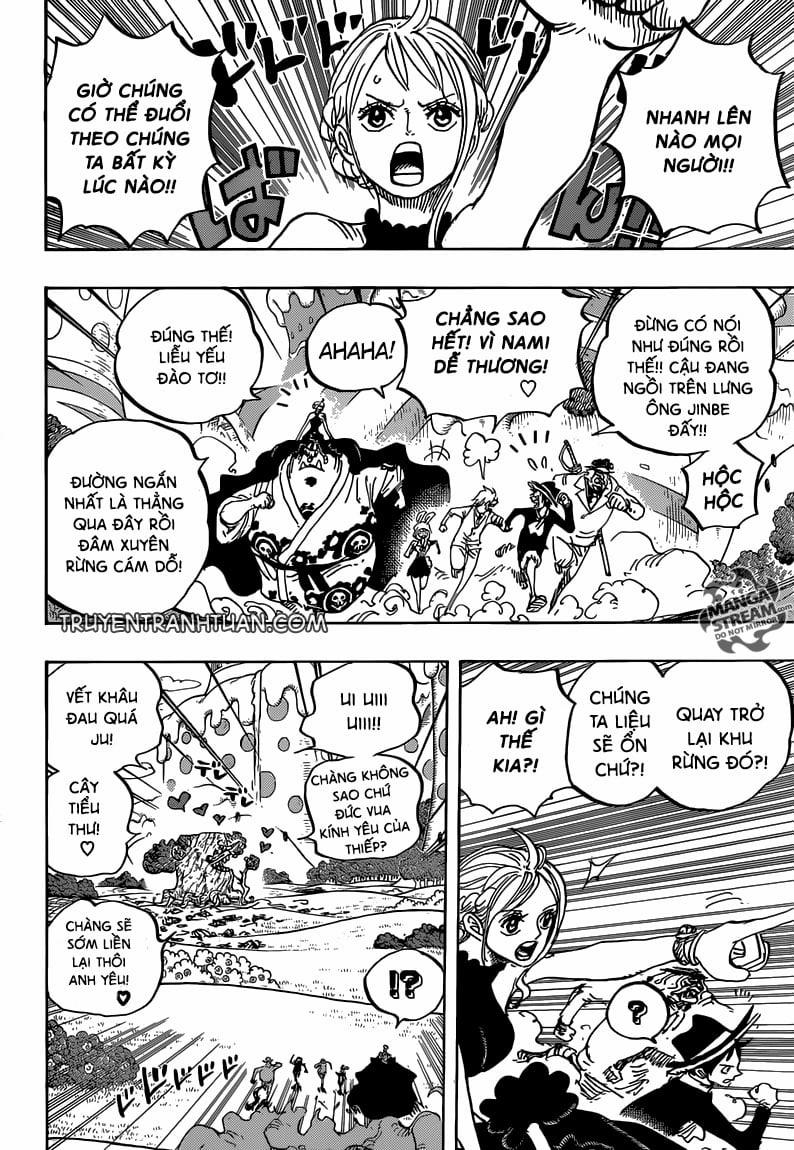One Piece 873 trang 13